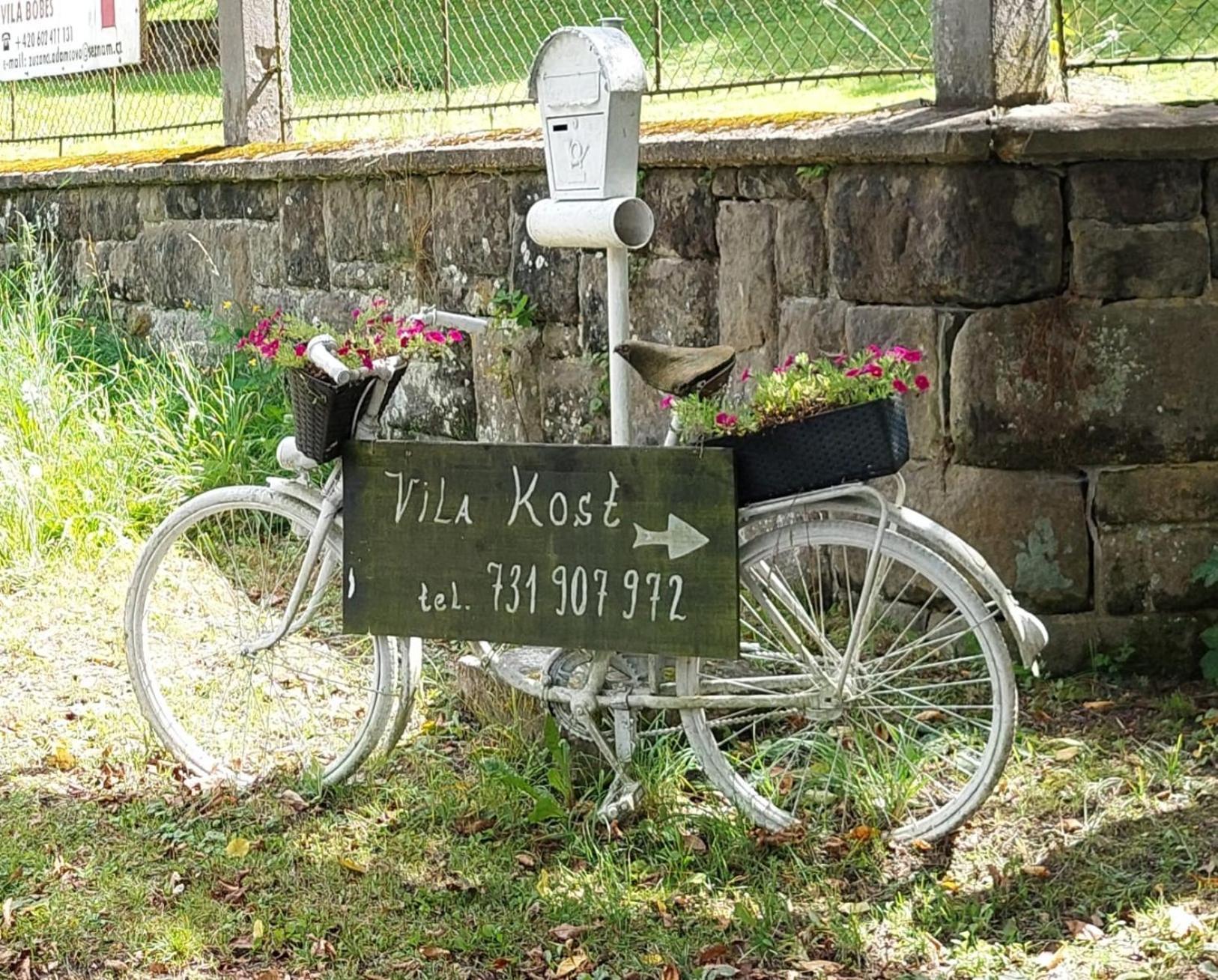Vila Kost Sobotka Ngoại thất bức ảnh